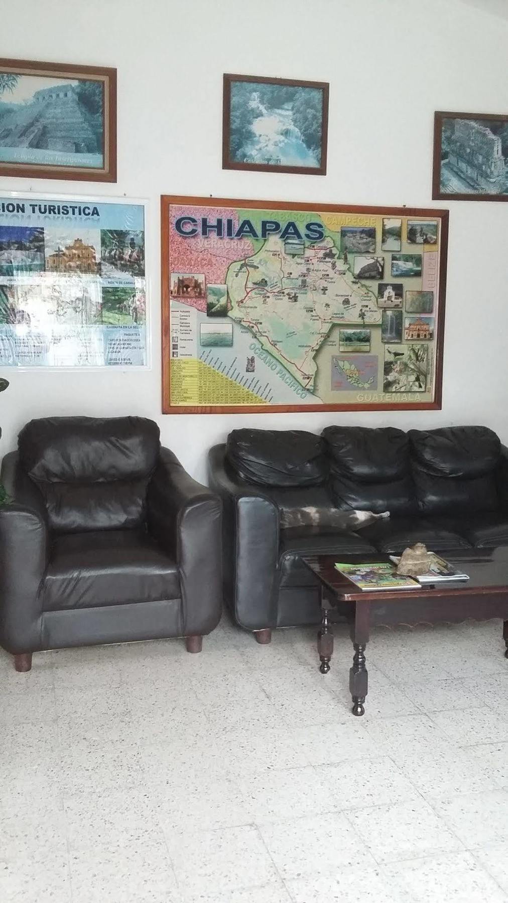 Hotel Mallorca Palenque Εξωτερικό φωτογραφία