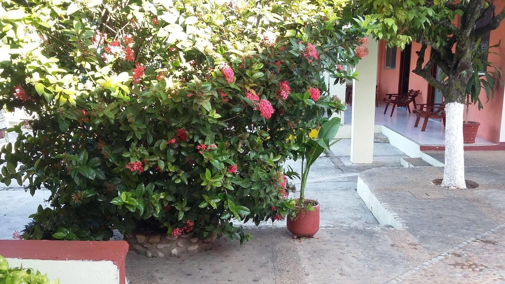Hotel Mallorca Palenque Εξωτερικό φωτογραφία